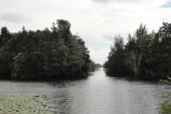Kuba_094