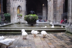 Barcelona_038