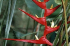 Brasilien_028