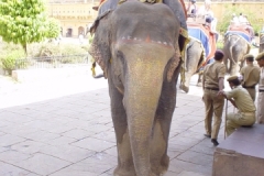 Indien_116