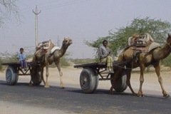 Indien_133