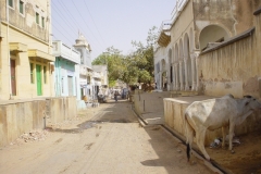 Indien_162