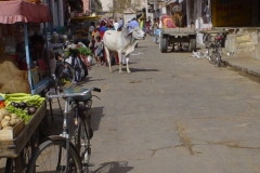 Indien_167