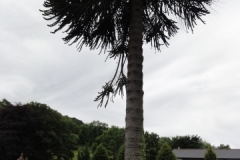 Irland_0028