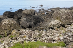 Irland_0040