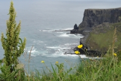 Irland_0113