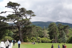 Irland_0150
