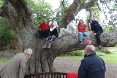 Irland_0156