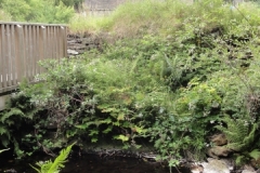 Irland_0174