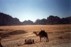 Jordanien_036