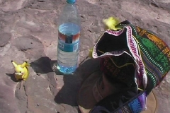 Jordanien_056