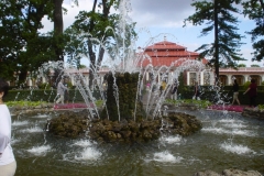 Petersburg_161
