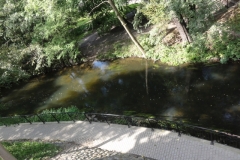 Polen_117