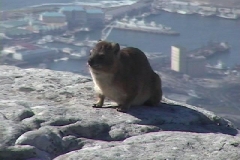 Suedafrika_004