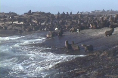 Suedafrika_007
