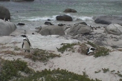 Suedafrika_019