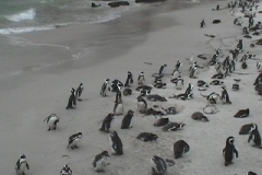 Suedafrika_020