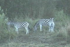 Suedafrika_043