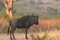 Suedafrika_047