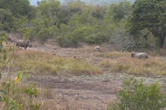 Suedafrika_053