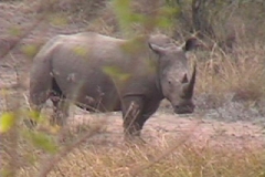 Suedafrika_054