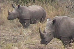 Suedafrika_055