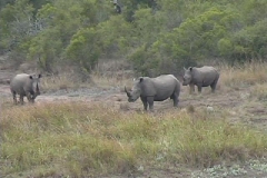 Suedafrika_056