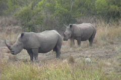 Suedafrika_057