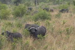Suedafrika_059