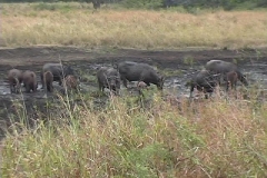 Suedafrika_060
