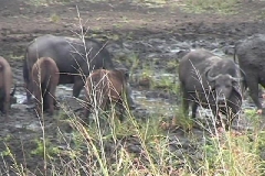 Suedafrika_061
