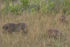 Suedafrika_062