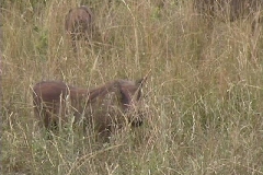 Suedafrika_063