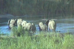 Suedafrika_068
