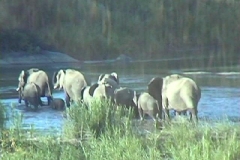 Suedafrika_069