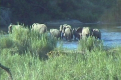 Suedafrika_070