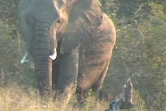 Suedafrika_072