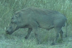 Suedafrika_073