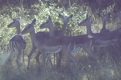 Suedafrika_087