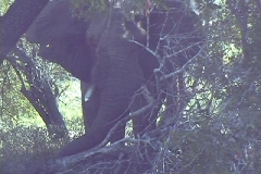 Suedafrika_088