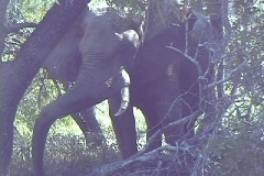Suedafrika_089