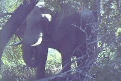Suedafrika_090
