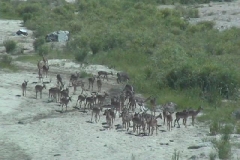 Suedafrika_095