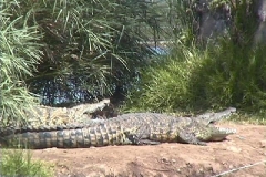 Suedafrika_096