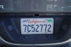 USA_137