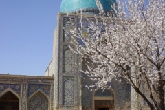 Usbekistan_058