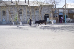 Usbekistan_150