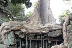 Vietnam_78