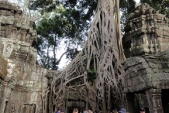 Vietnam_83