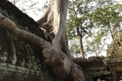 Vietnam_86